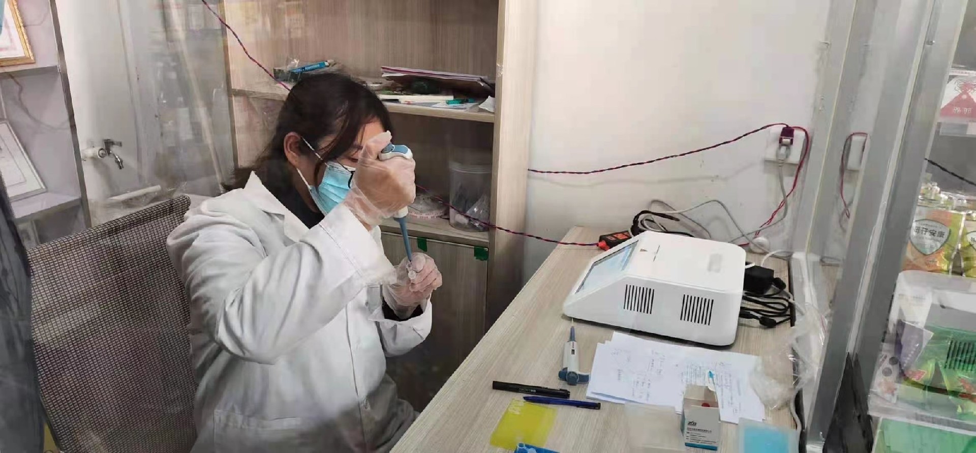 非洲猪瘟 PCR 检测仪检测工作画面